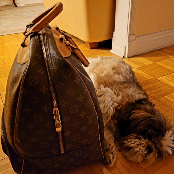 Auth Louis Vuitton Monogram Evasion Boston Travel Bag Hand Bag (Unisex) - Picture 10 of 16